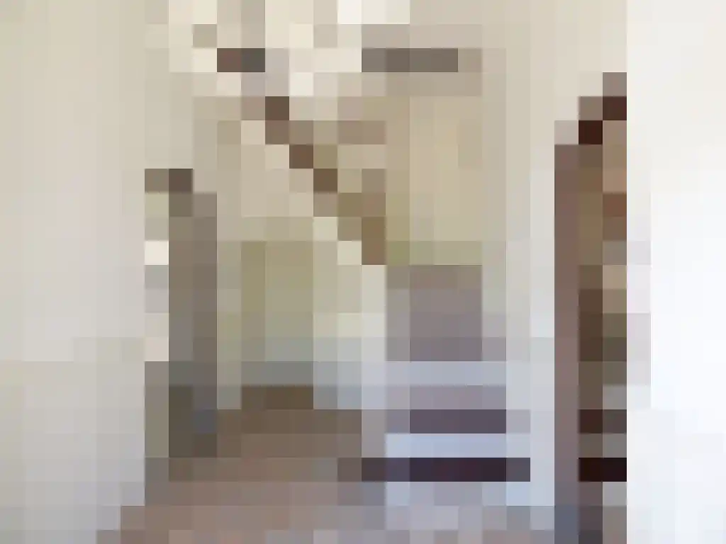 Wikelerdyk 16 Balk thumbnail 8