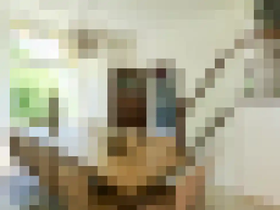 Wikelerdyk 16 Balk thumbnail 9