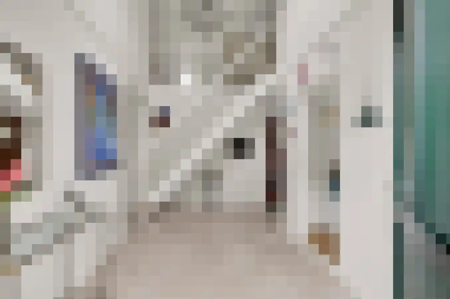 Wikelerdyk 20 Balk thumbnail 10