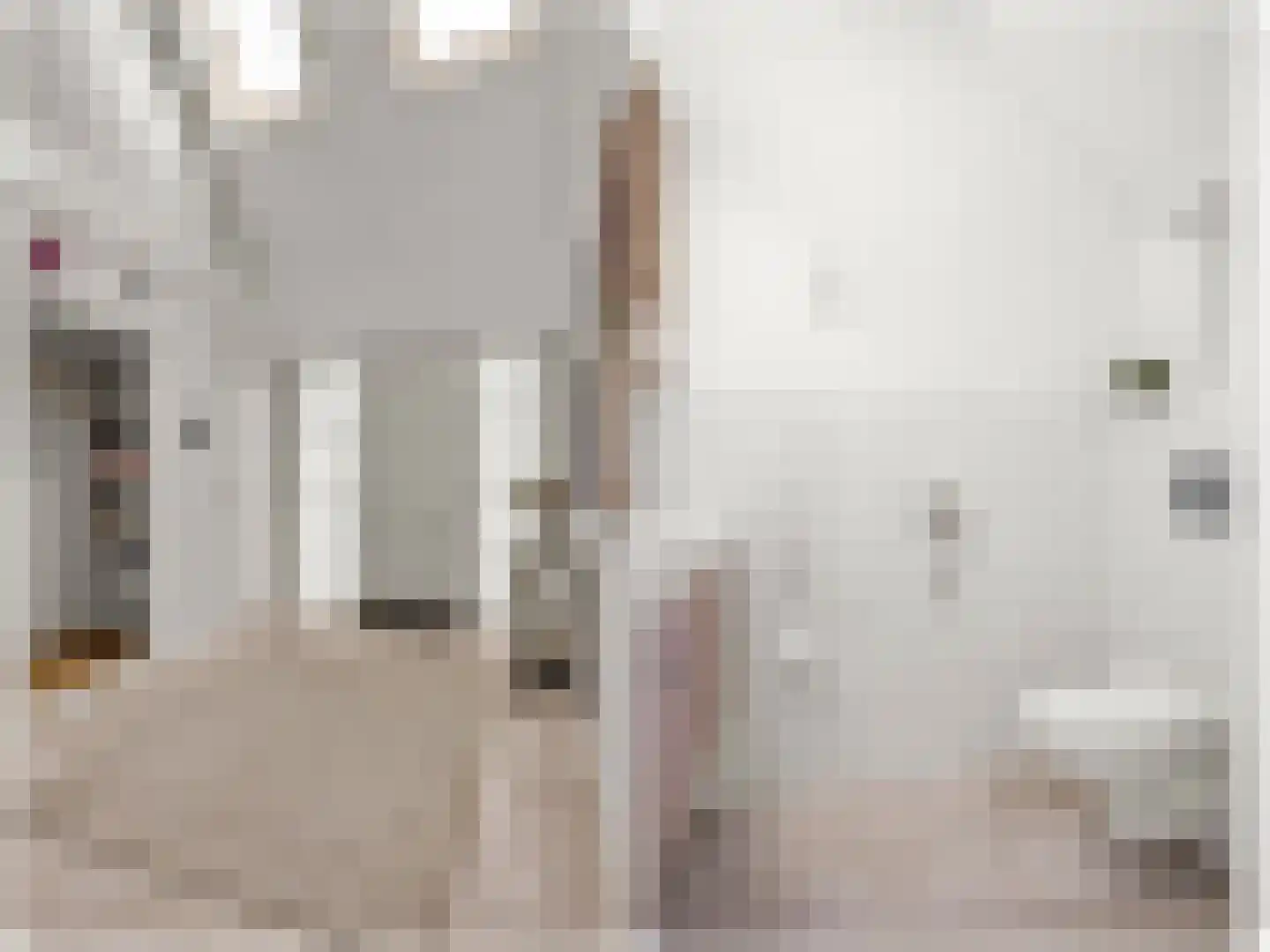 Wikelerdyk 20 Balk thumbnail 11