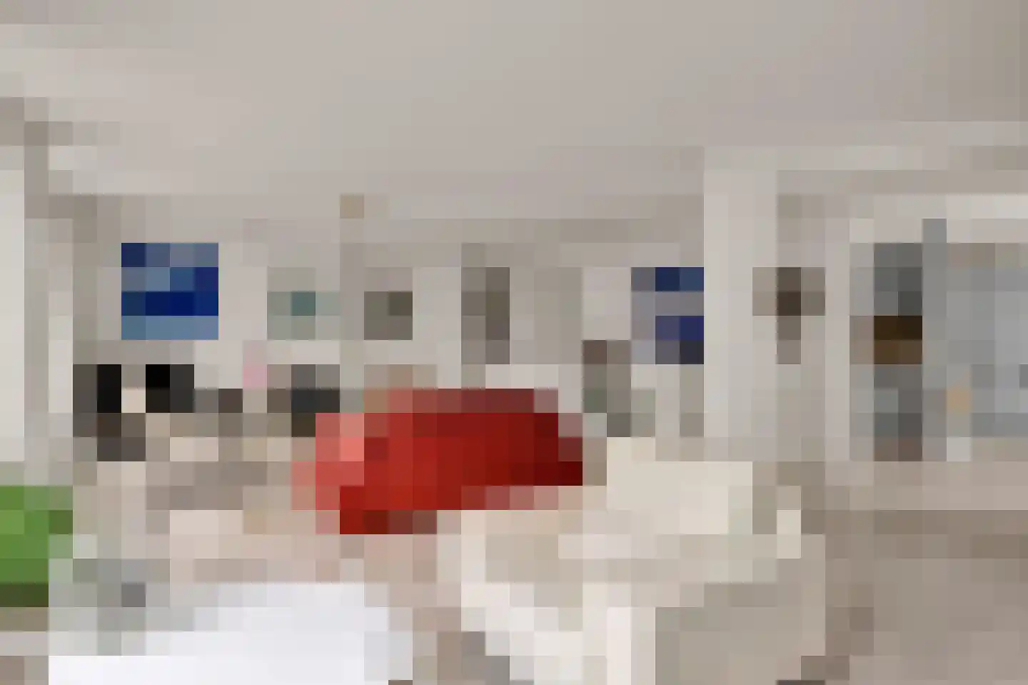 Wikelerdyk 20 Balk thumbnail 17