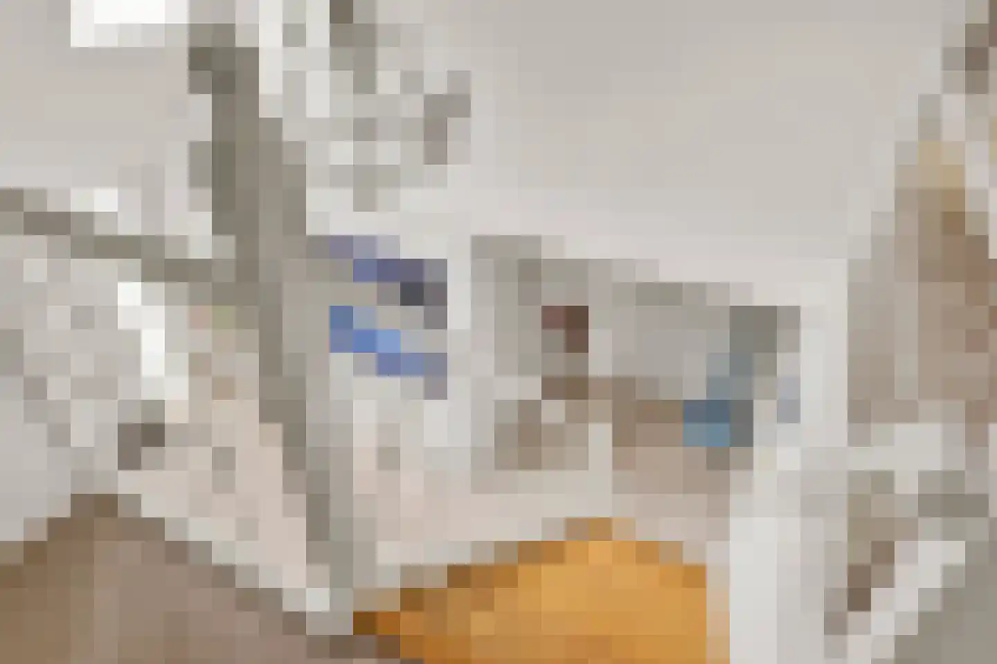 Wikelerdyk 20 Balk thumbnail 37
