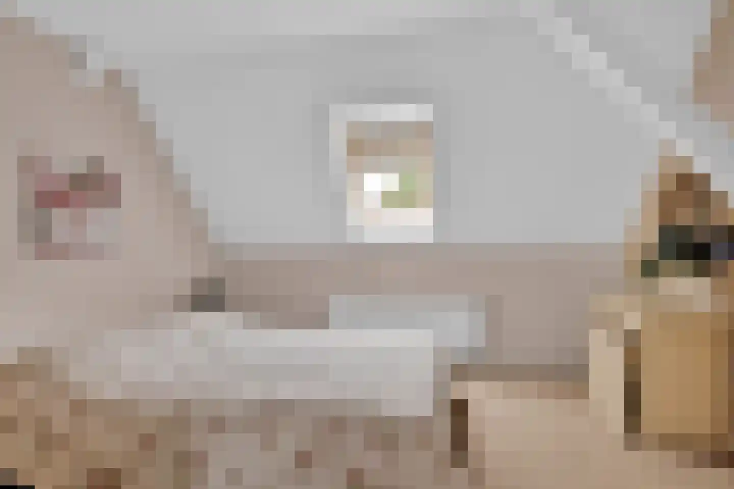 Wikelerdyk 20 Balk thumbnail 46