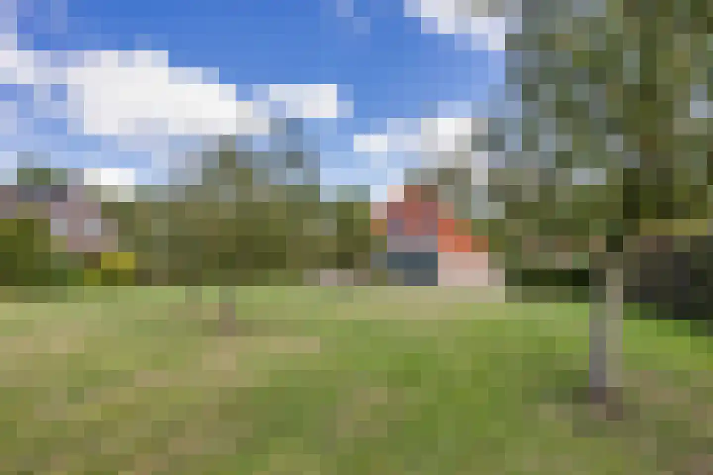 Wikelerdyk 20 Balk thumbnail 52
