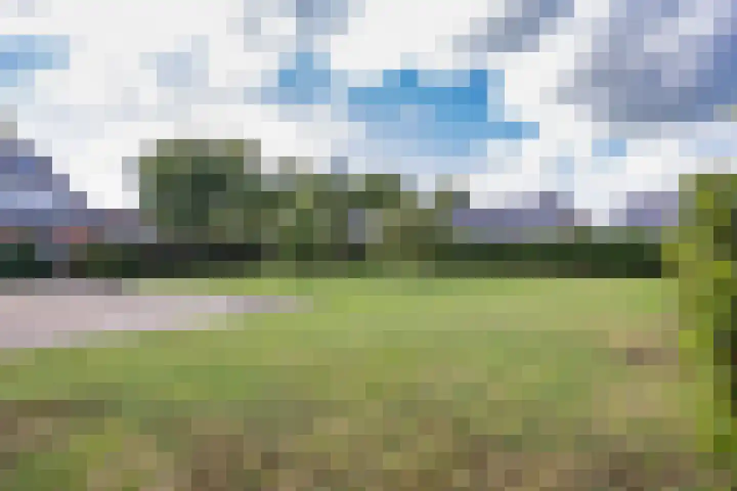 Wikelerdyk 20 Balk thumbnail 55