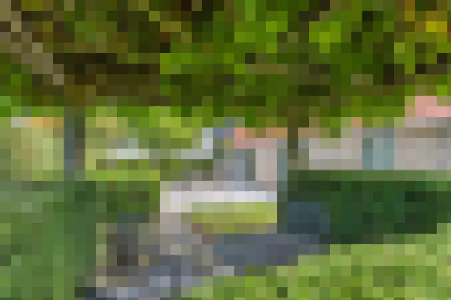 Wikelerdyk 20 Balk thumbnail 56