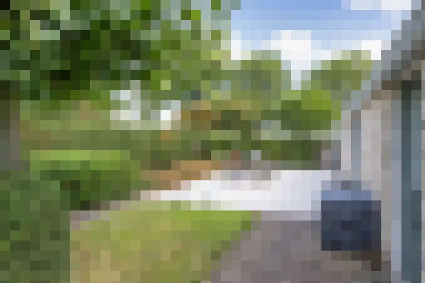 Wikelerdyk 20 Balk thumbnail 57
