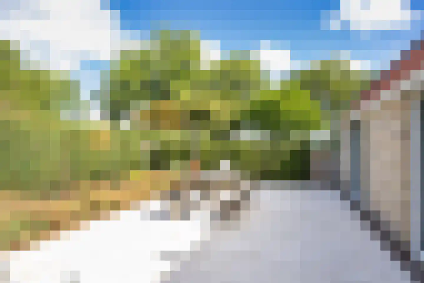 Wikelerdyk 20 Balk thumbnail 58