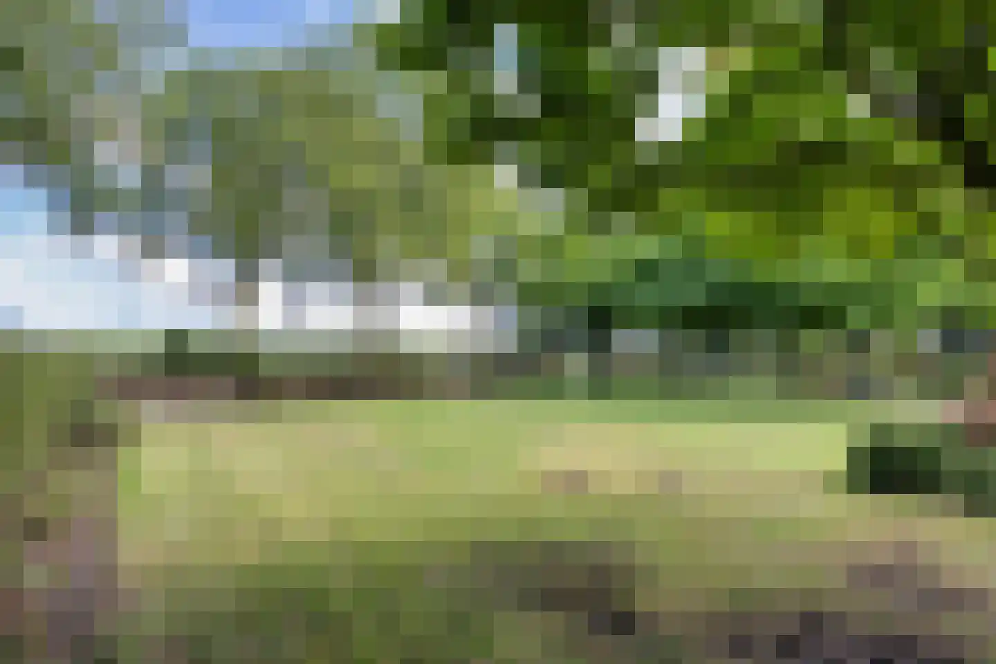 Wikelerdyk 20 Balk thumbnail 61