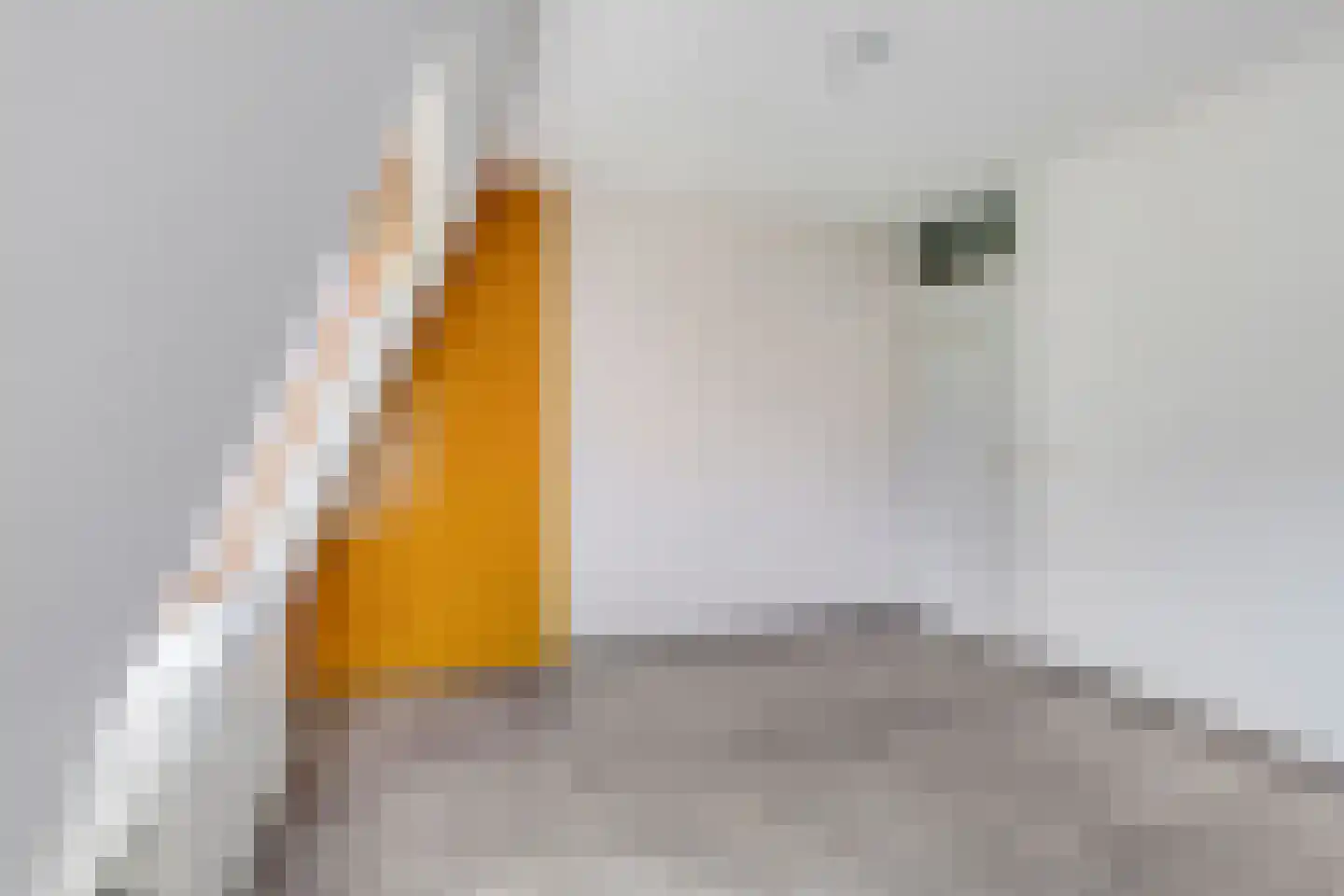 Wikke 22 Huizen thumbnail 27