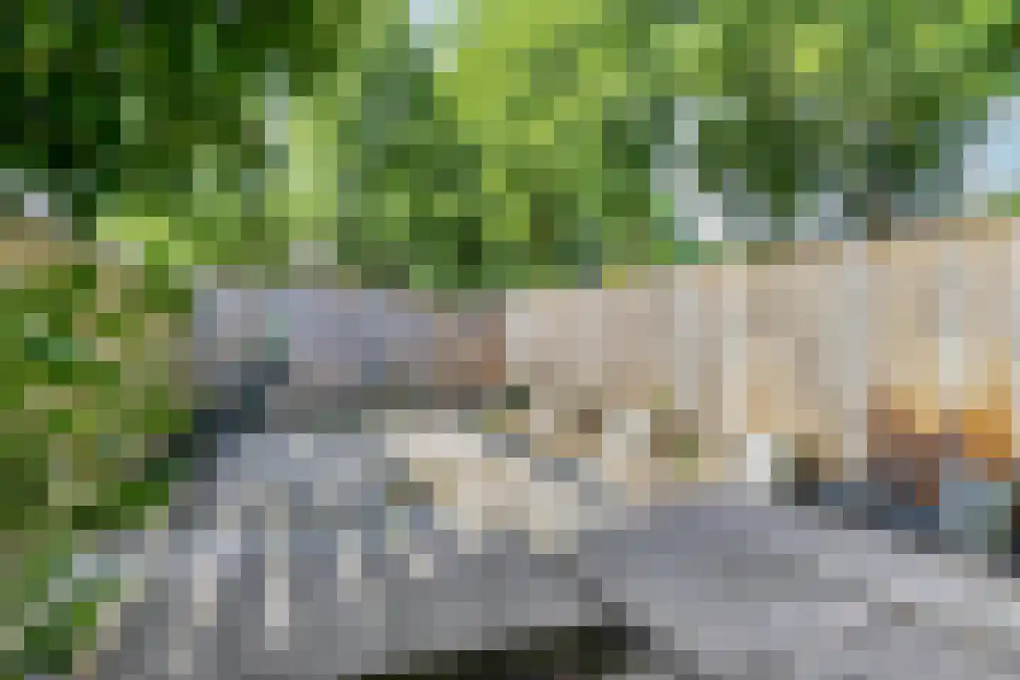 Wikke 22 Huizen thumbnail 30