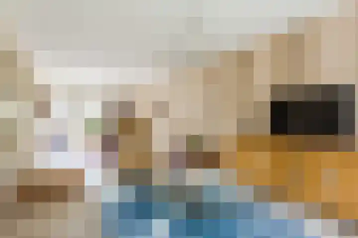 Wikkebeek 1 Veldhoven thumbnail 16