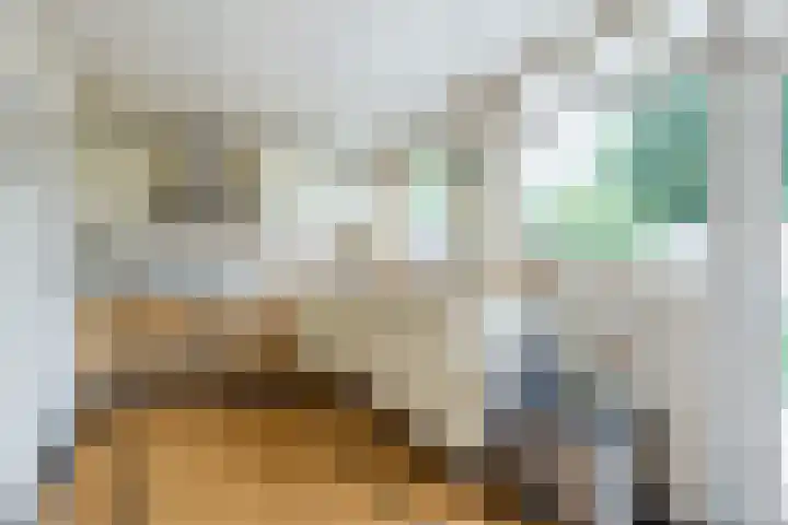 Wikkebeek 1 Veldhoven thumbnail 22