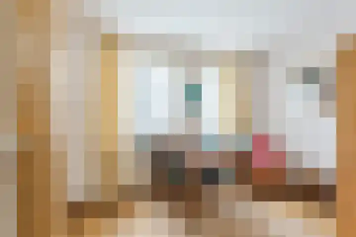 Wikkebeek 1 Veldhoven thumbnail 32