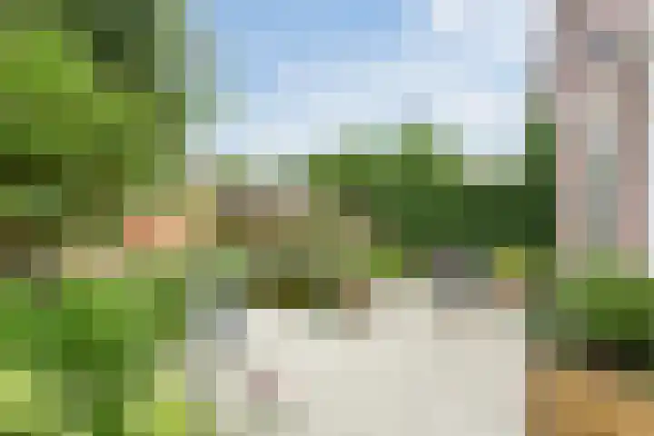 Wikkebeek 1 Veldhoven thumbnail 40