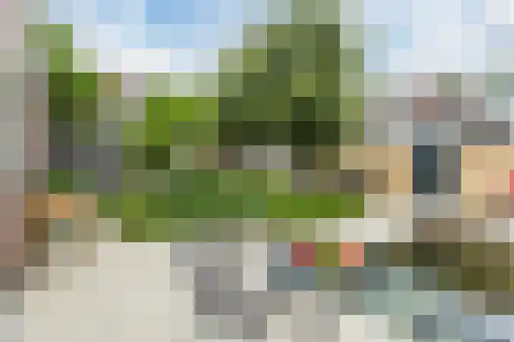 Wikkebeek 1 Veldhoven thumbnail 41