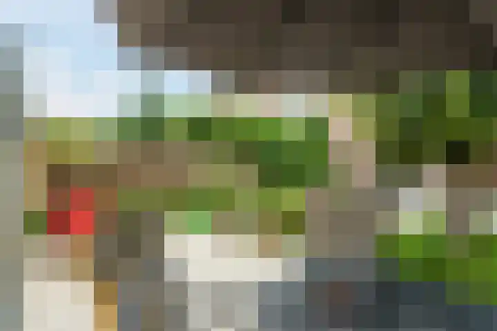 Wikkebeek 1 Veldhoven thumbnail 43