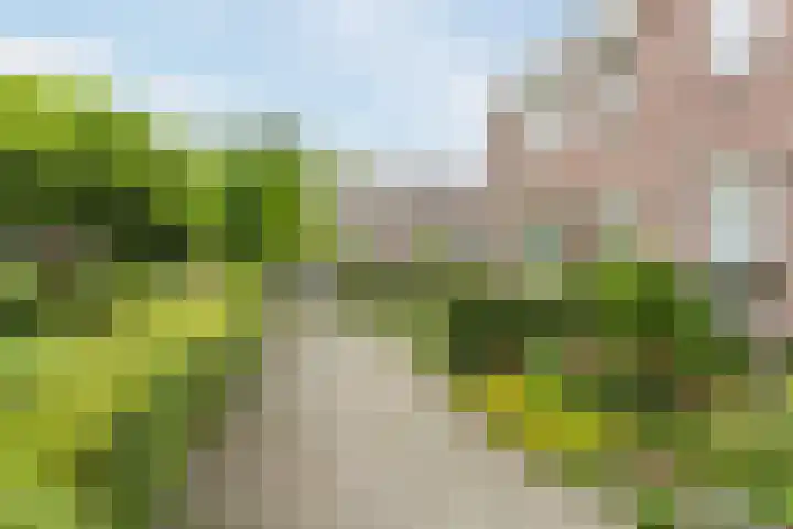 Wikkebeek 1 Veldhoven thumbnail 49