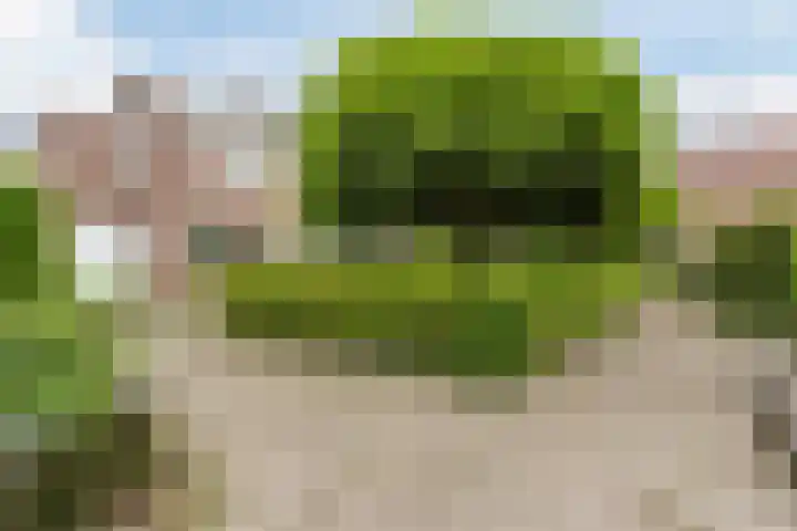 Wikkebeek 1 Veldhoven thumbnail 6
