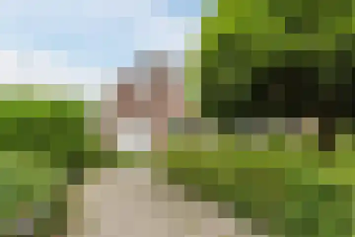 Wikkebeek 1 Veldhoven thumbnail 7