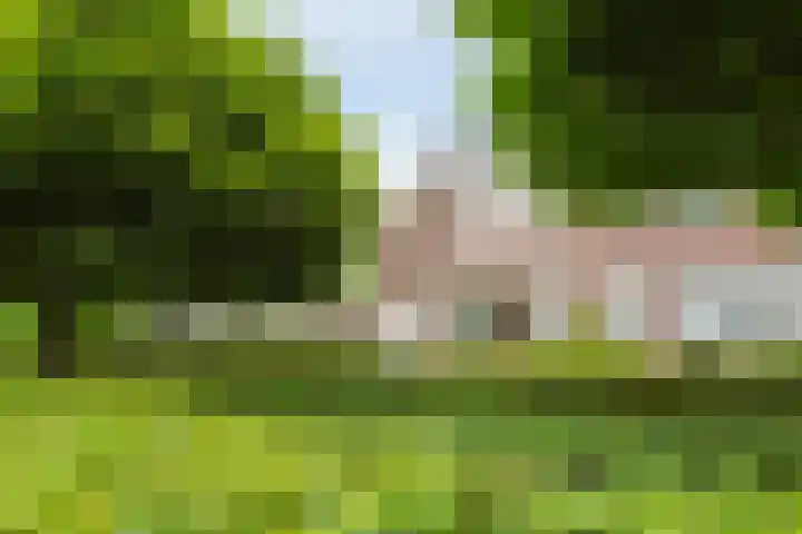 Wikkebeek 1 Veldhoven thumbnail 8