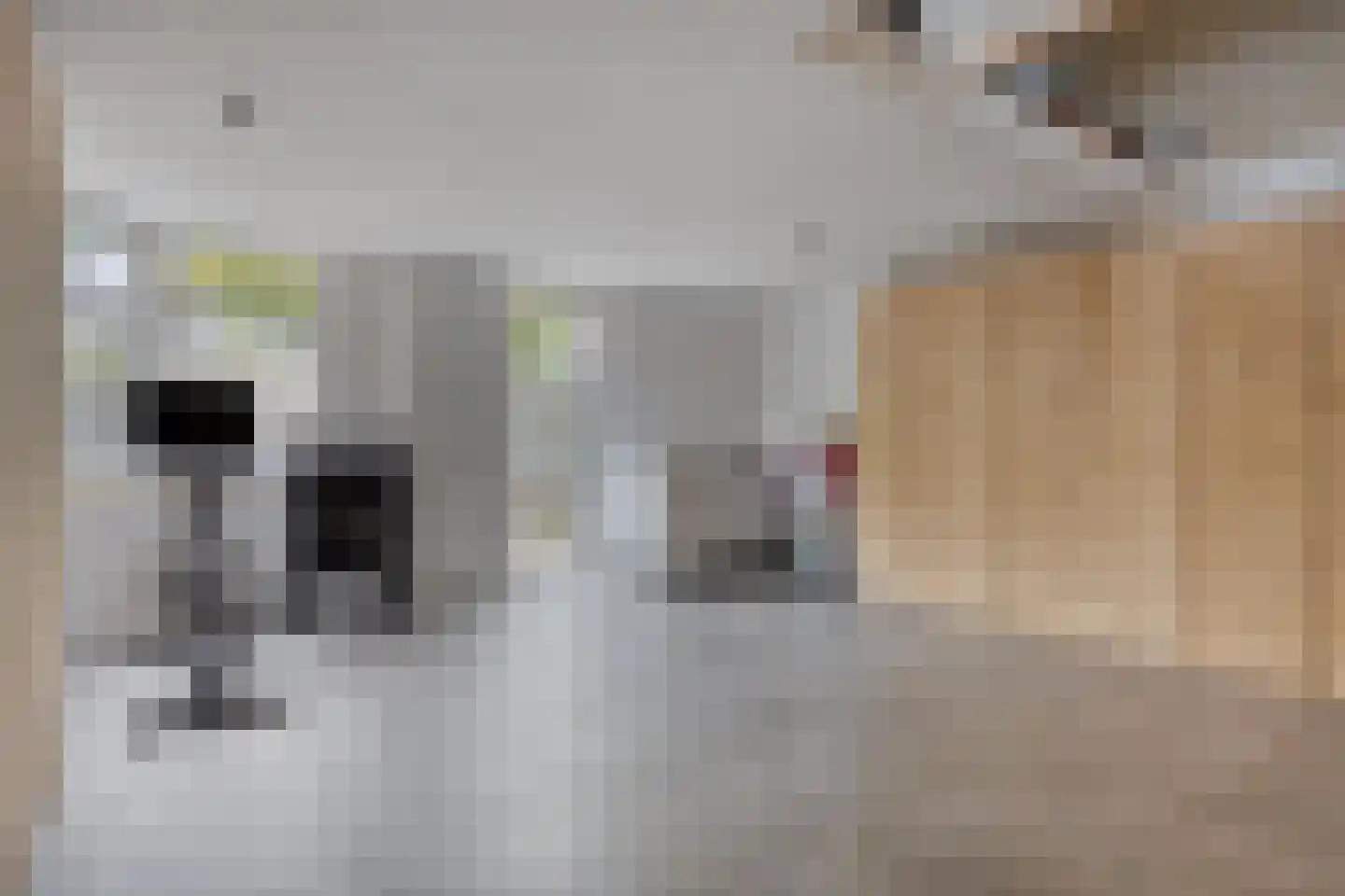 Wikkebeek 2 Veldhoven thumbnail 17