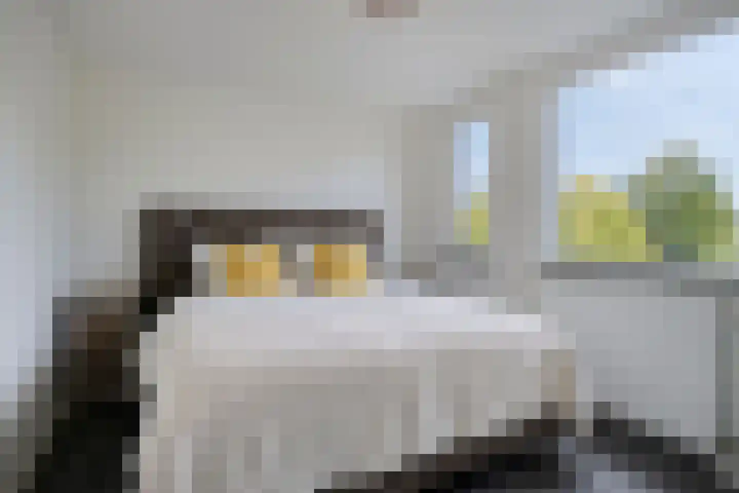 Wikkebeek 2 Veldhoven thumbnail 43