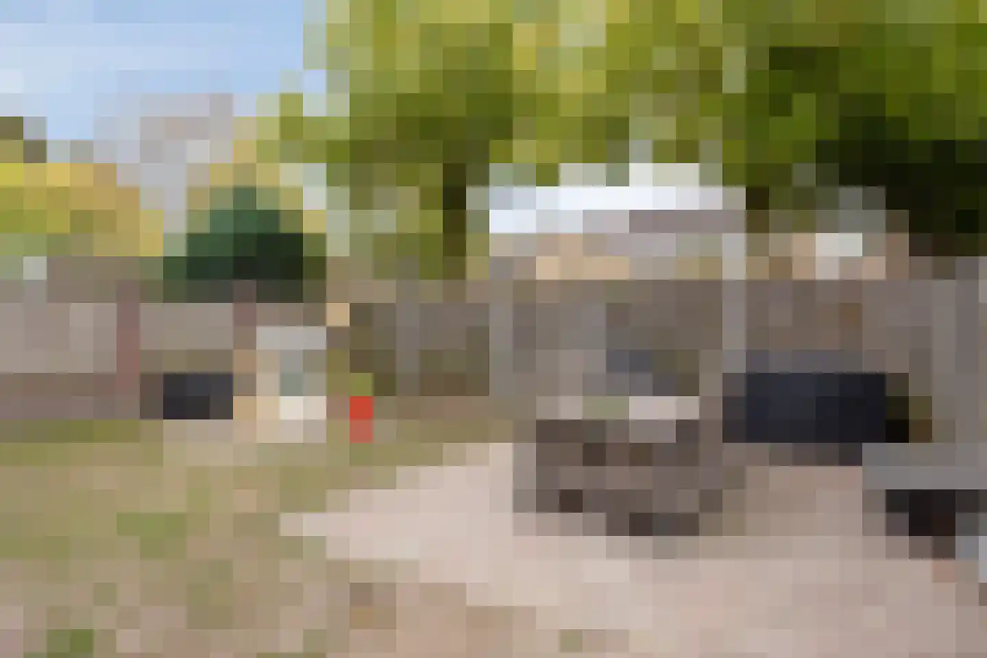 Wikkebeek 2 Veldhoven thumbnail 43