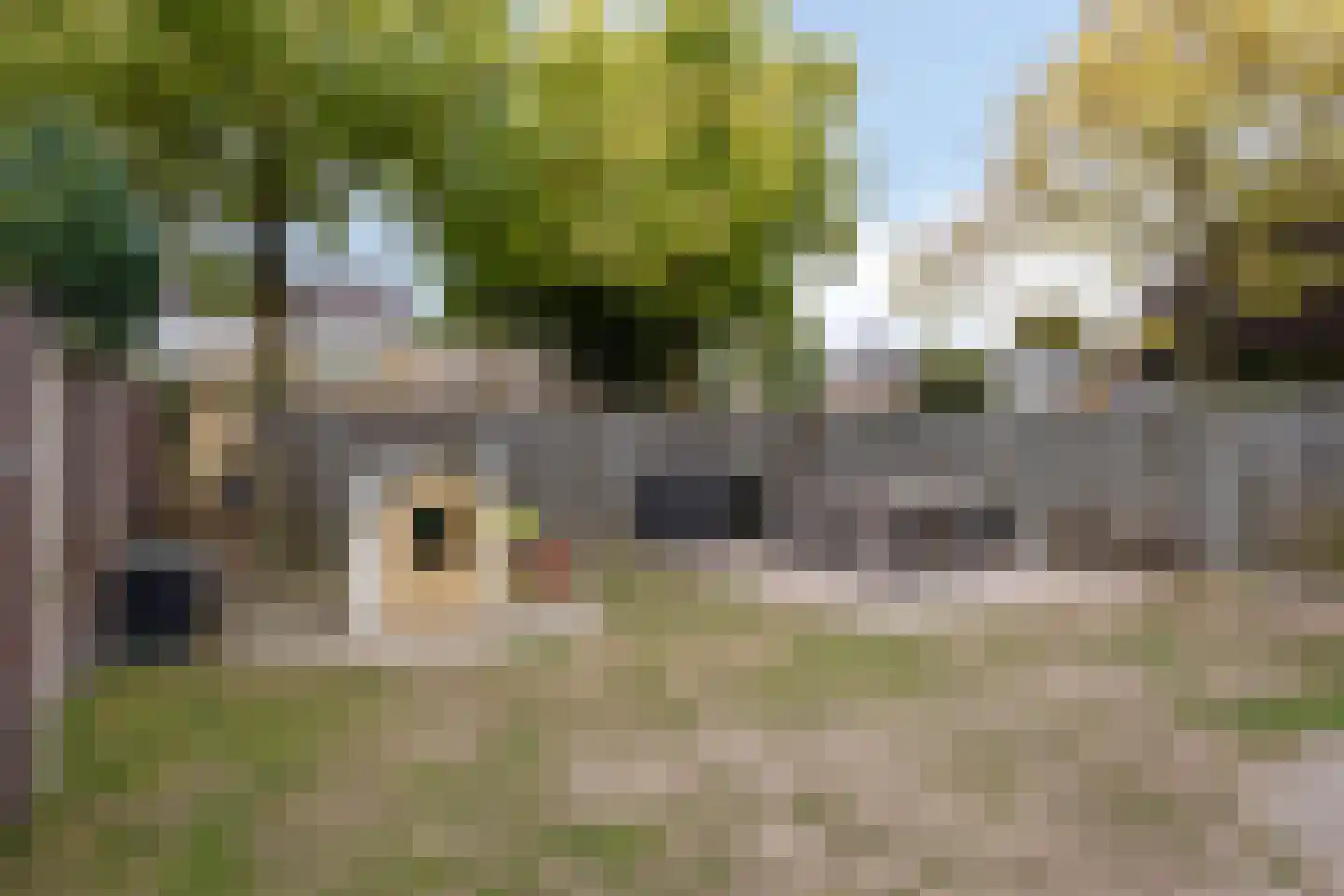 Wikkebeek 2 Veldhoven thumbnail 44