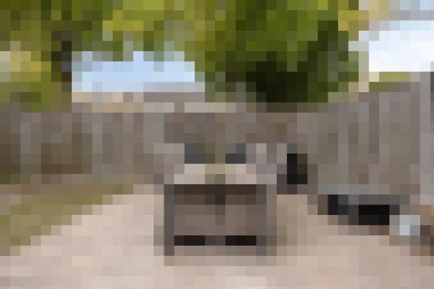 Wikkebeek 2 Veldhoven thumbnail 46