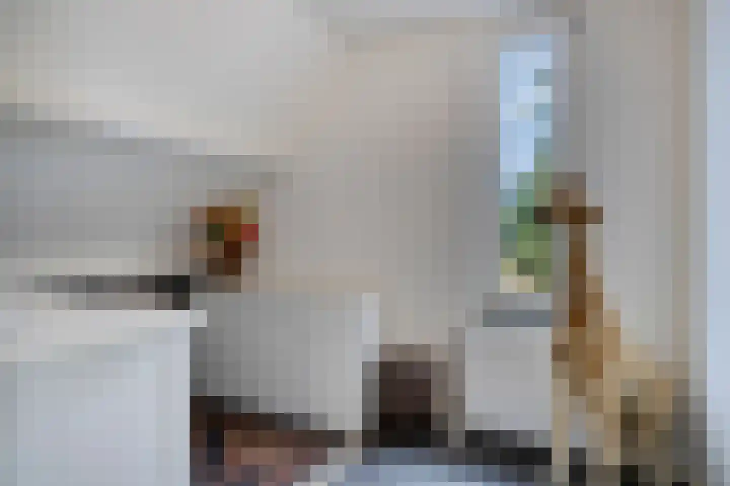 Wikkebeek 2 Veldhoven thumbnail 46