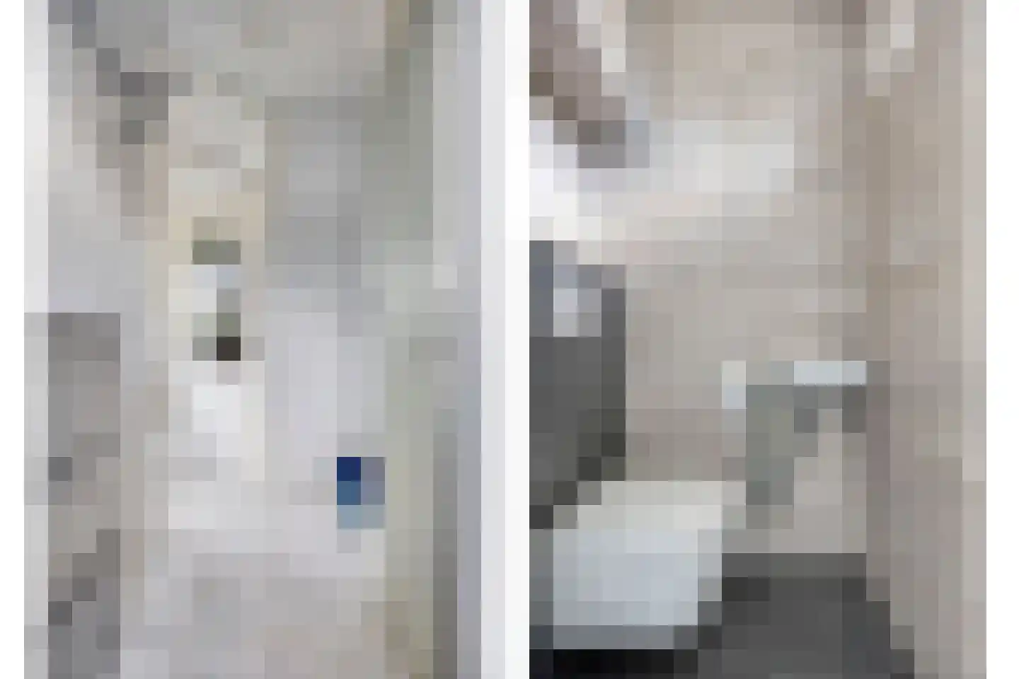 Wikkebeemd 4 Oosterhout thumbnail 14