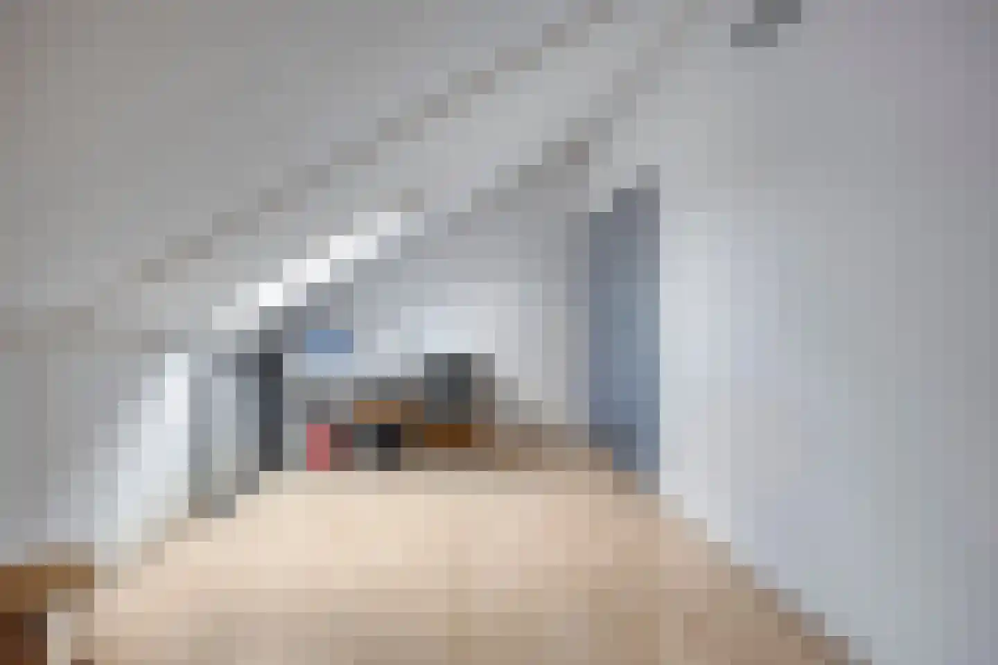 Wikkebeemd 4 Oosterhout thumbnail 24