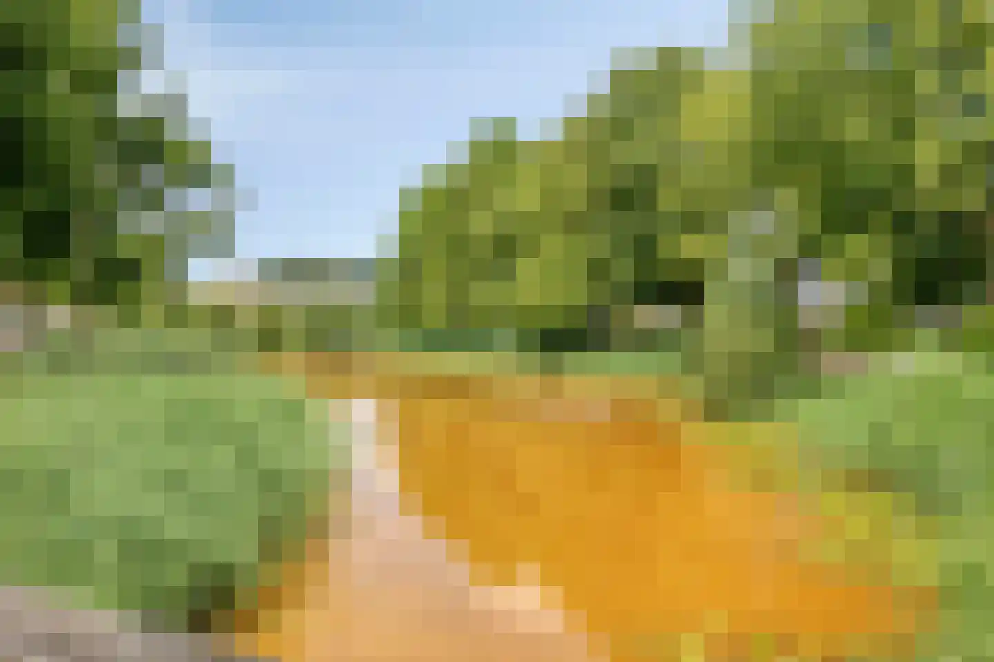 Wikkebeemd 4 Oosterhout thumbnail 34
