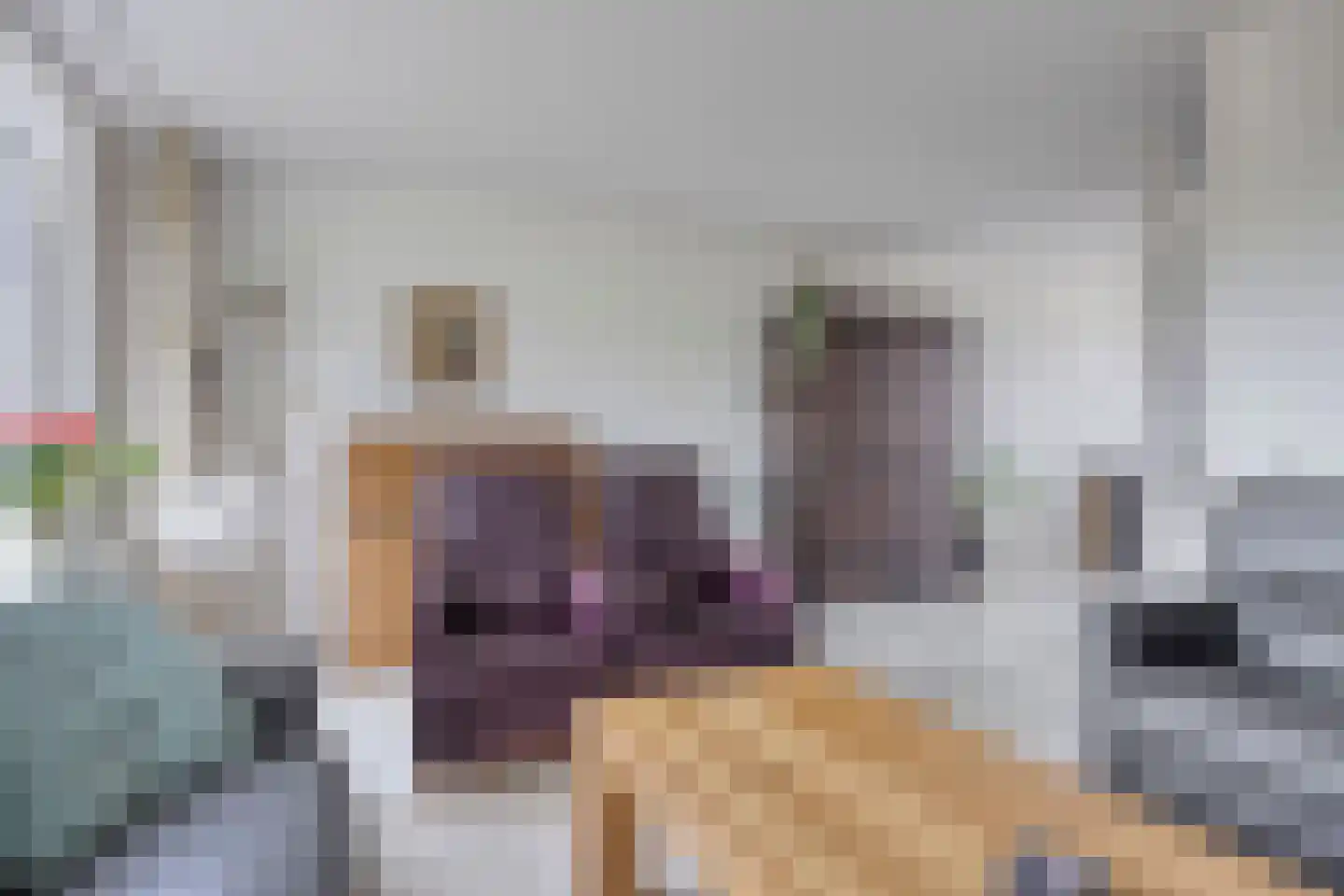 Wikkebeemd 4 Oosterhout thumbnail 5