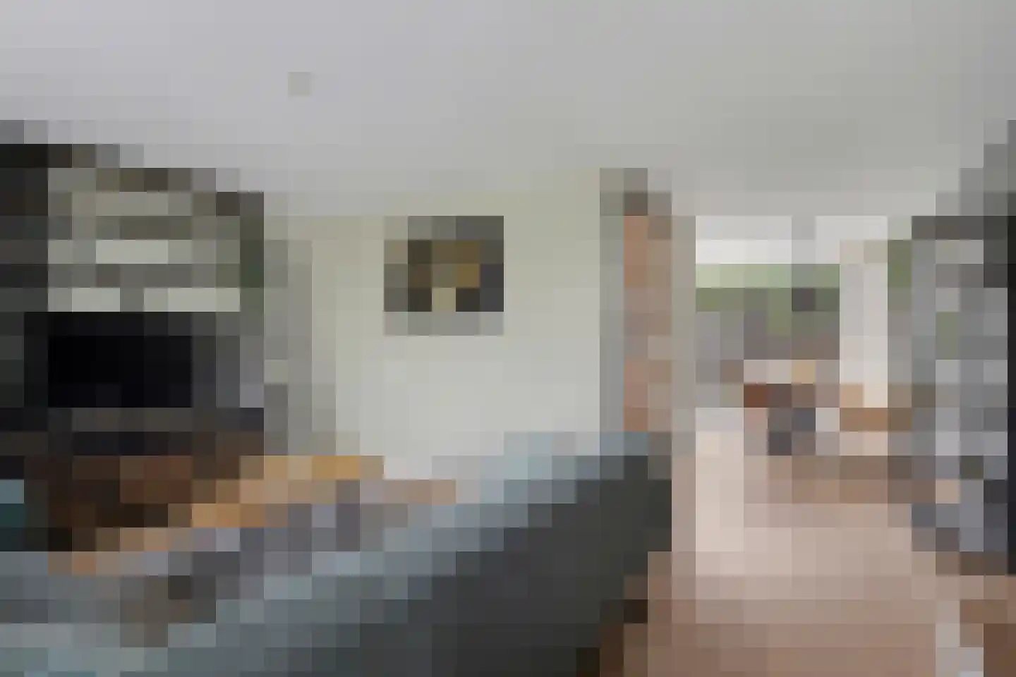 Wikkebeemd 6 Oosterhout thumbnail 12