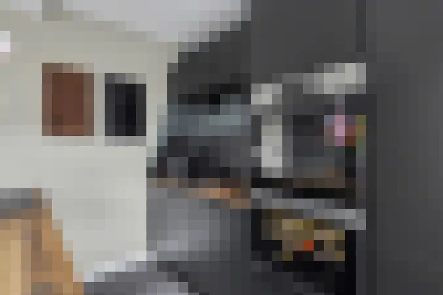 Wikkebeemd 6 Oosterhout thumbnail 17