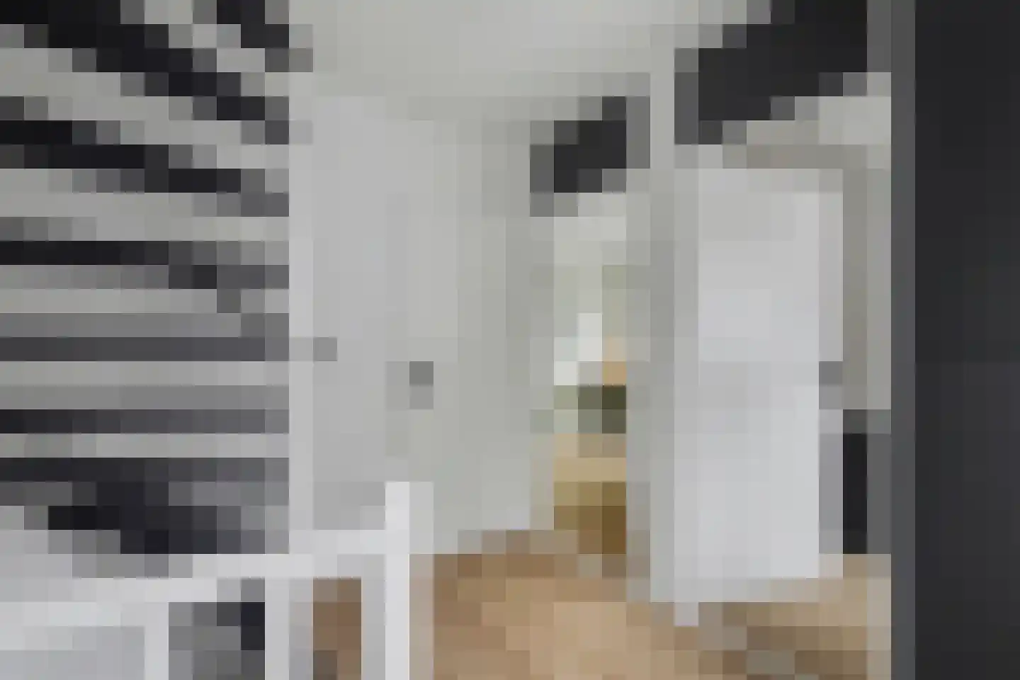 Wikkebeemd 6 Oosterhout thumbnail 19