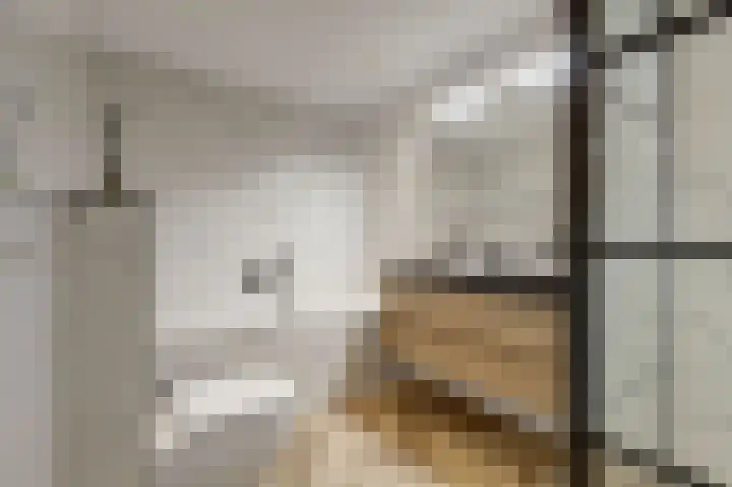 Wikkebeemd 6 Oosterhout thumbnail 20