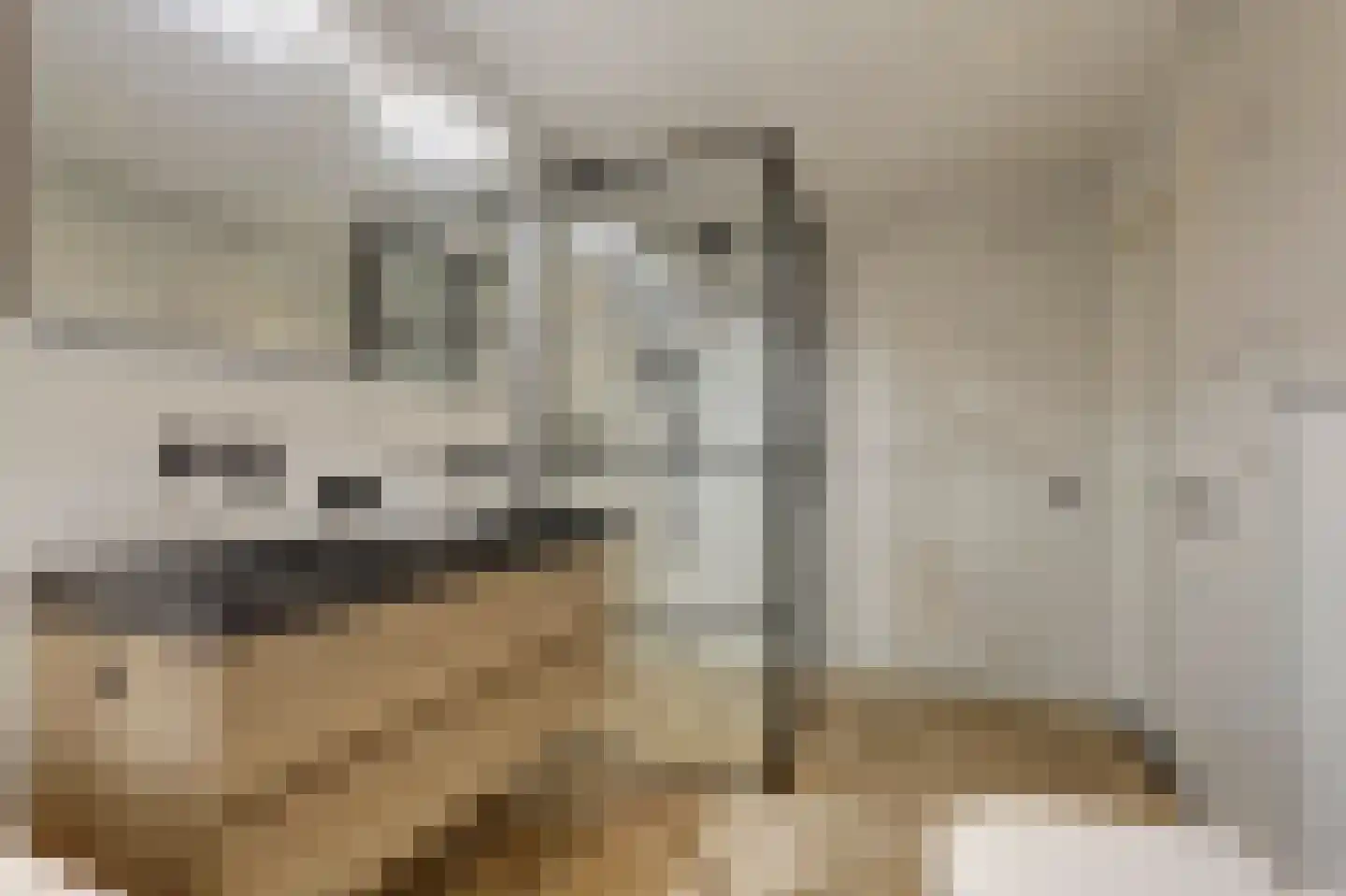Wikkebeemd 6 Oosterhout thumbnail 4