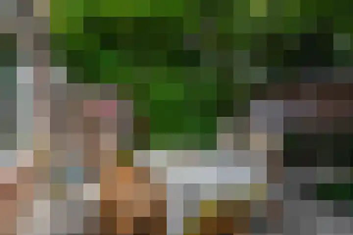 Wikkedreef 10 Spijkenisse thumbnail 23