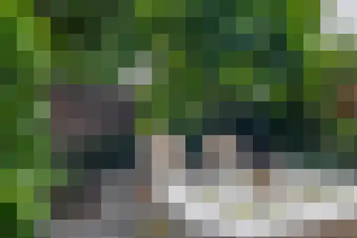Wikkedreef 10 Spijkenisse thumbnail 24