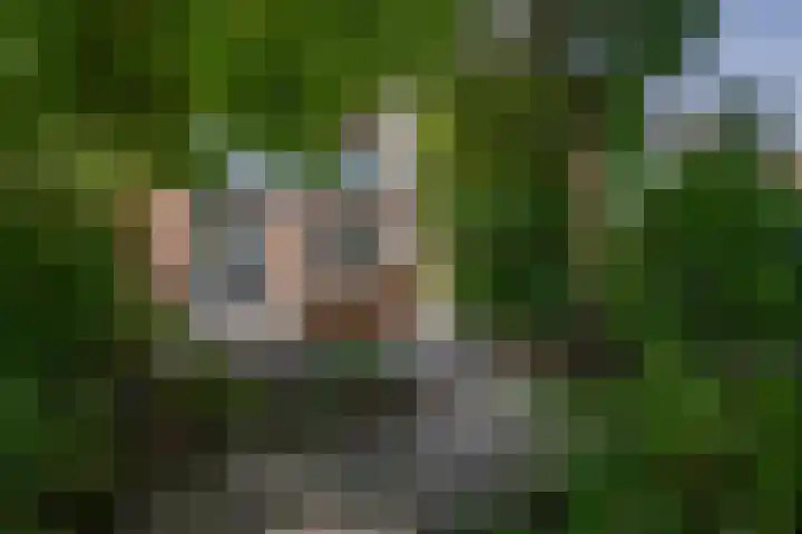 Wikkedreef 10 Spijkenisse thumbnail 25