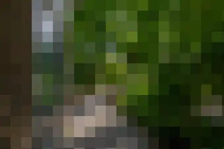 Wikkedreef 10 Spijkenisse thumbnail 26
