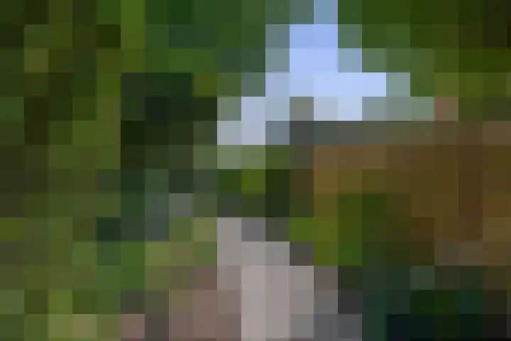 Wikkedreef 10 Spijkenisse thumbnail 27