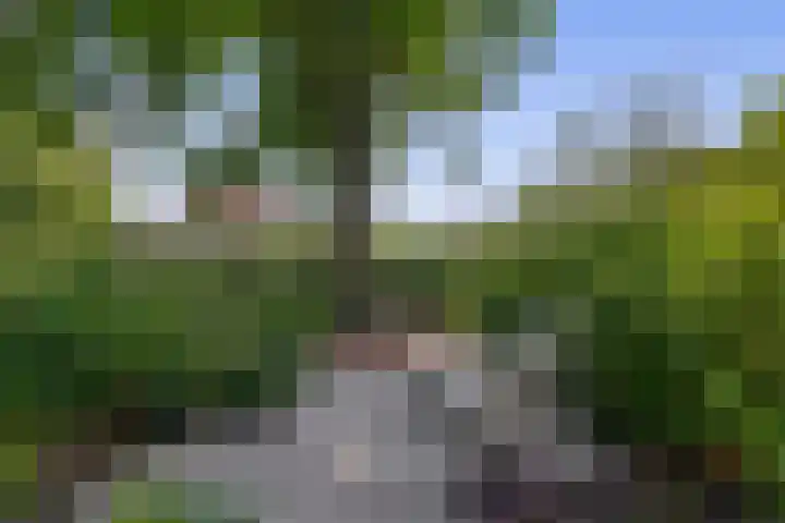 Wikkedreef 10 Spijkenisse thumbnail 28