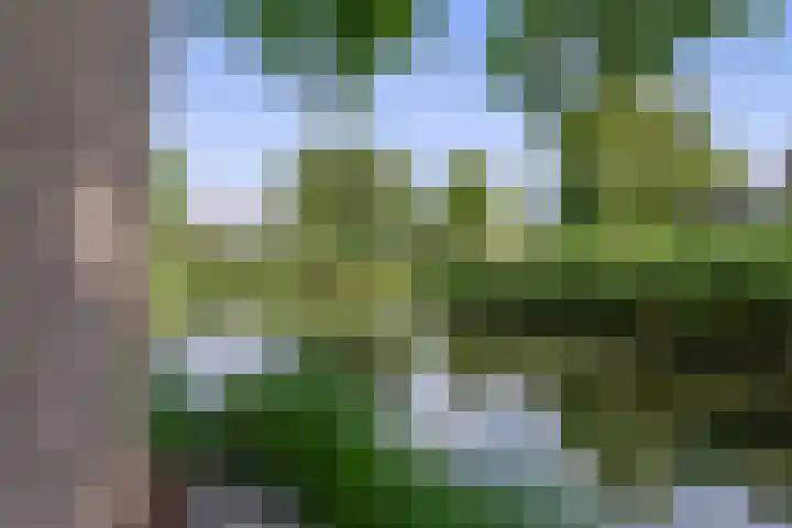 Wikkedreef 10 Spijkenisse thumbnail 29