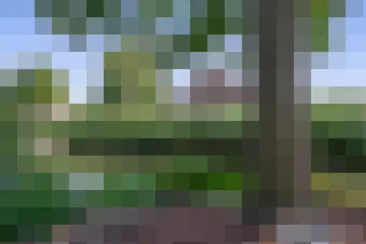 Wikkedreef 10 Spijkenisse thumbnail 30