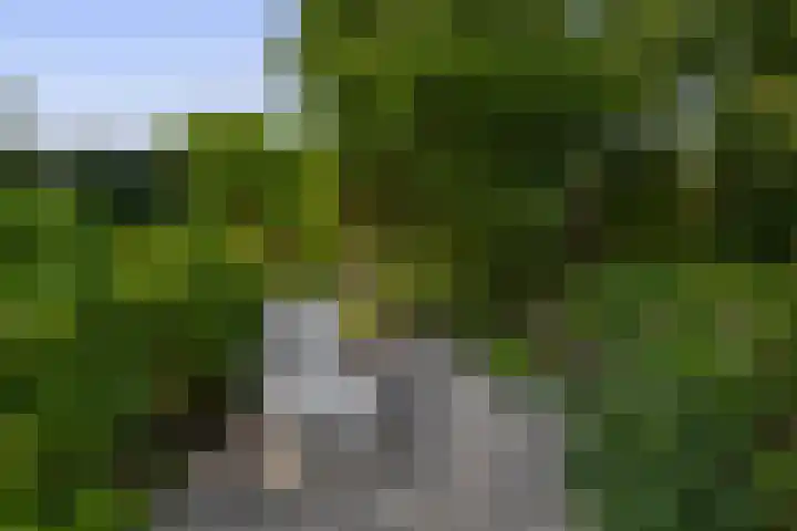 Wikkedreef 10 Spijkenisse thumbnail 31