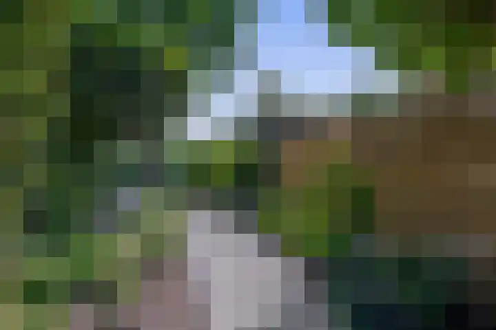 Wikkedreef 10 Spijkenisse thumbnail 32